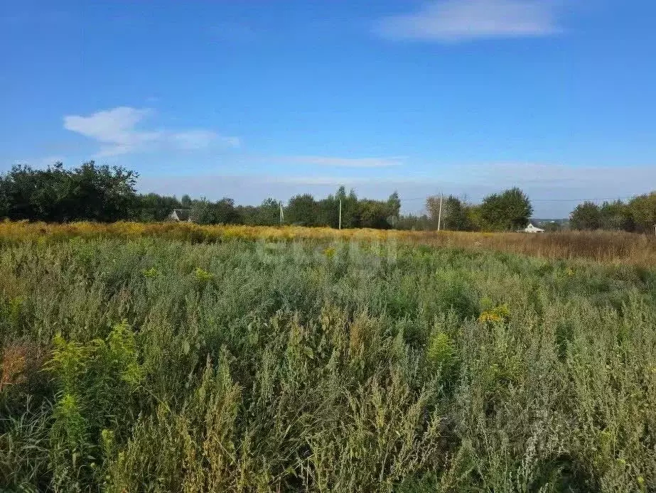Участок в Брянская область, Брянский район, Мичуринское с/пос, Заря ... - Фото 1