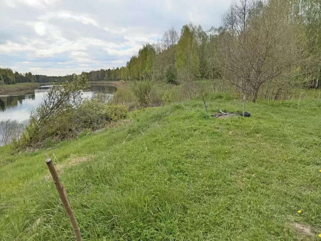 Участок в Новгородская область, Маловишерский район, Бургинское с/пос, ... - Фото 1