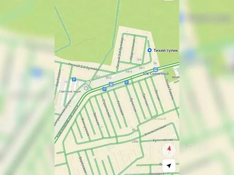 Участок в Новосибирская область, Новосибирский район, Мочищенский ... - Фото 1