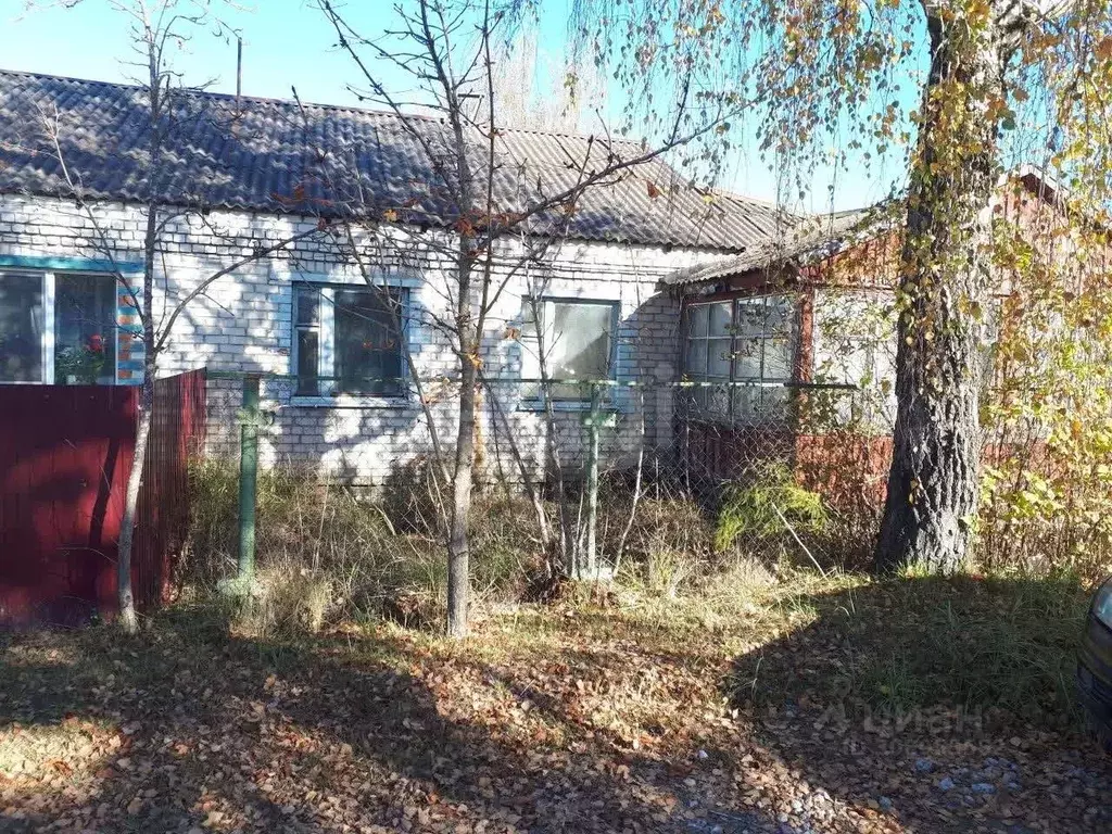 Дом в Брянская область, Брянский район, Отрадненское с/пос, с. ... - Фото 1