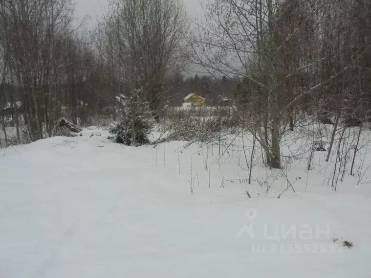 Участок в Московская область, Дмитровский муниципальный округ, д. ... - Фото 0