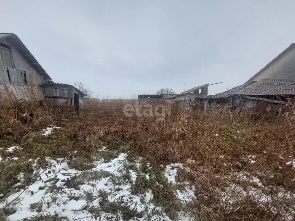 Дом в Тюменская область, Ишимский район, с. Ершово Заводская ул. (30 ... - Фото 1