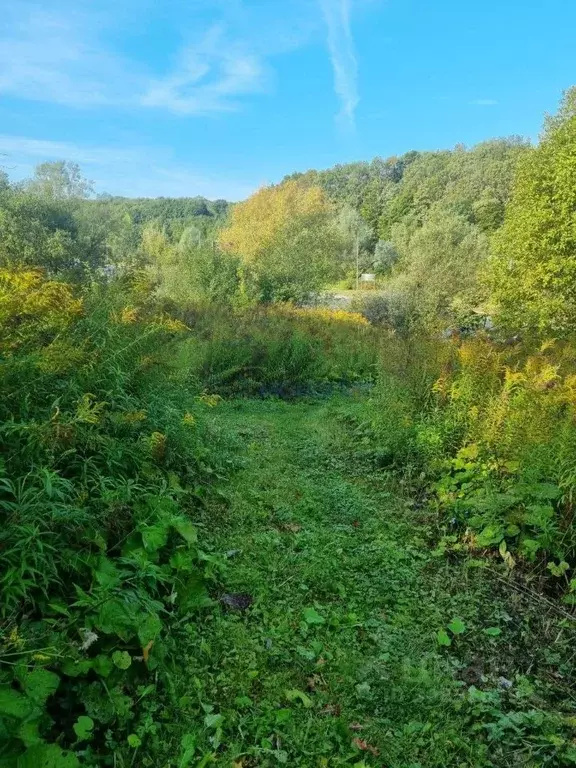 Участок в Нижегородская область, Нижний Новгород городской округ, д. ... - Фото 0