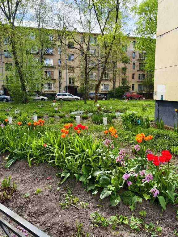 3-к кв. Санкт-Петербург ул. Лени Голикова, 10 (41.8 м) - Фото 1