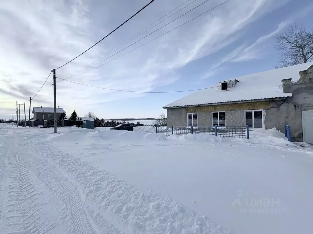 Дом в Челябинская область, Еткульский муниципальный округ, с. ... - Фото 1