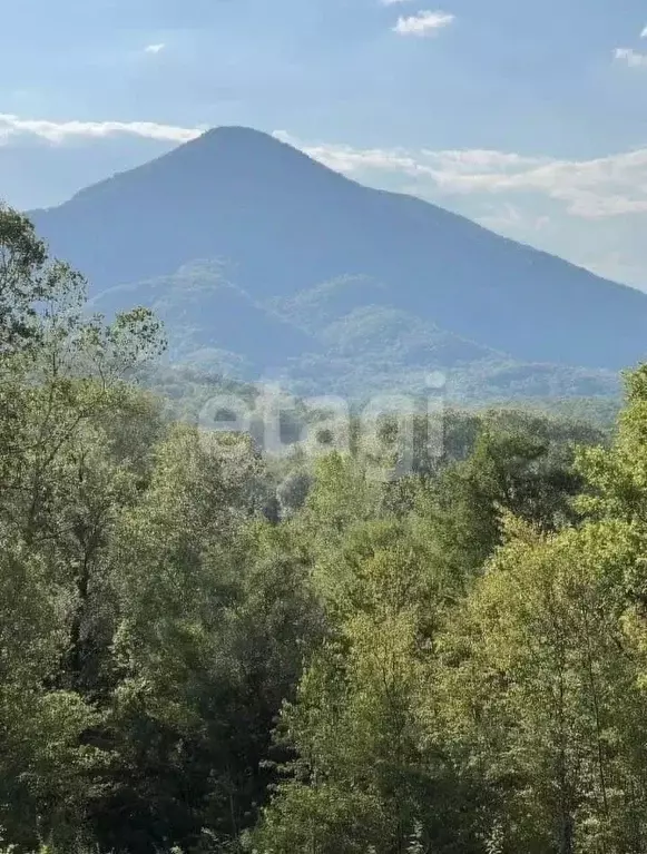 Участок в Краснодарский край, Геленджик городской округ, с. Кабардинка ... - Фото 2