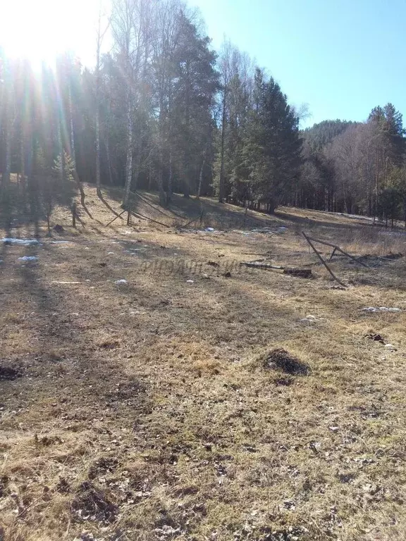 Участок в Алтай, Чемальский район, пос. Усть-Сема  (8.0 сот.) - Фото 1