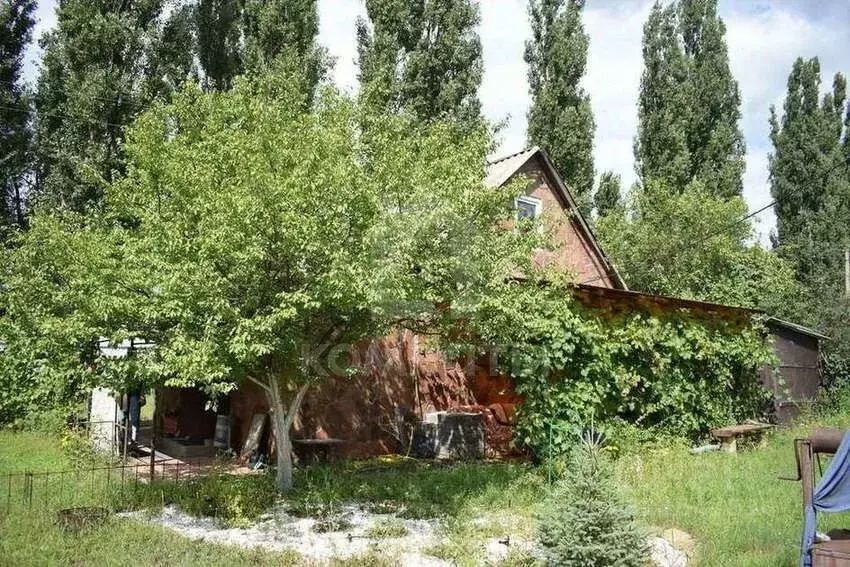 Дом в Воронежская область, Воронеж СНТ Русское Поле ТСН, 127 (70 м) - Фото 1