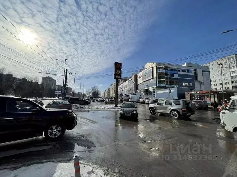 Торговая площадь в Нижегородская область, Нижний Новгород просп. ... - Фото 1