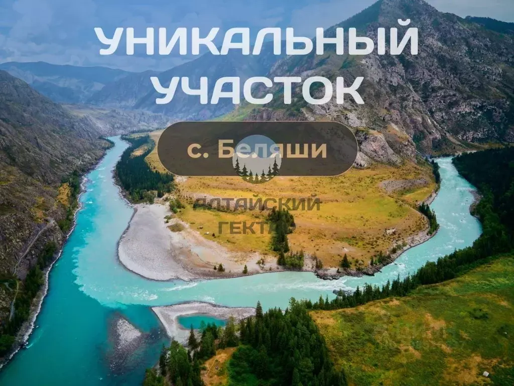 Участок в Алтай, Кош-Агачский район, с. Беляши  (466.6 сот.) - Фото 1