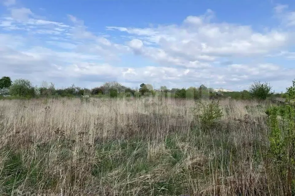 Участок в Ростовская область, Азовский район, с. Александровка ... - Фото 2