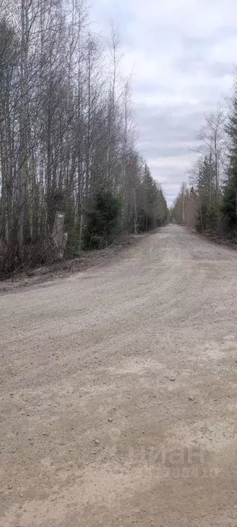 Участок в Карелия, Кондопога пер. Солнечный (14.0 сот.) - Фото 1