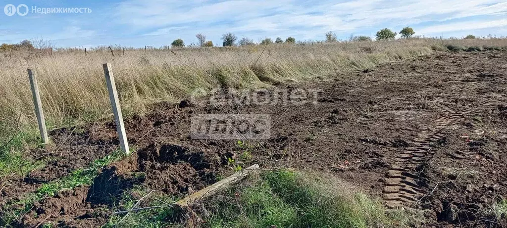Участок в Темрюк, СНТ Стимул, Яблоневая улица (8 м) - Фото 2