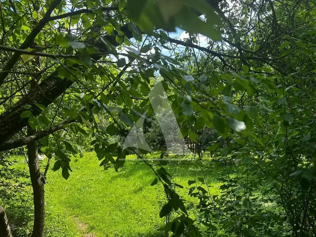 Участок в Московская область, Одинцовский городской округ, д. Калчуга  ... - Фото 1