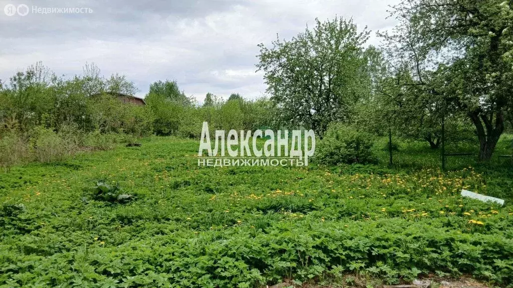 Участок в посёлок Горьковское, Спортивный переулок (12.5 м) - Фото 2