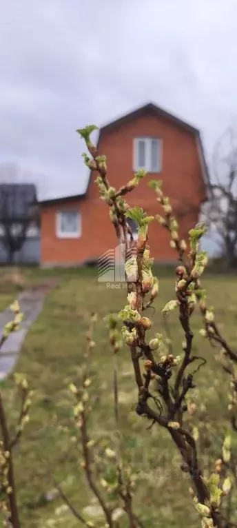 Дом в Московская область, Ленинский городской округ, пос. Мещерино, ... - Фото 1