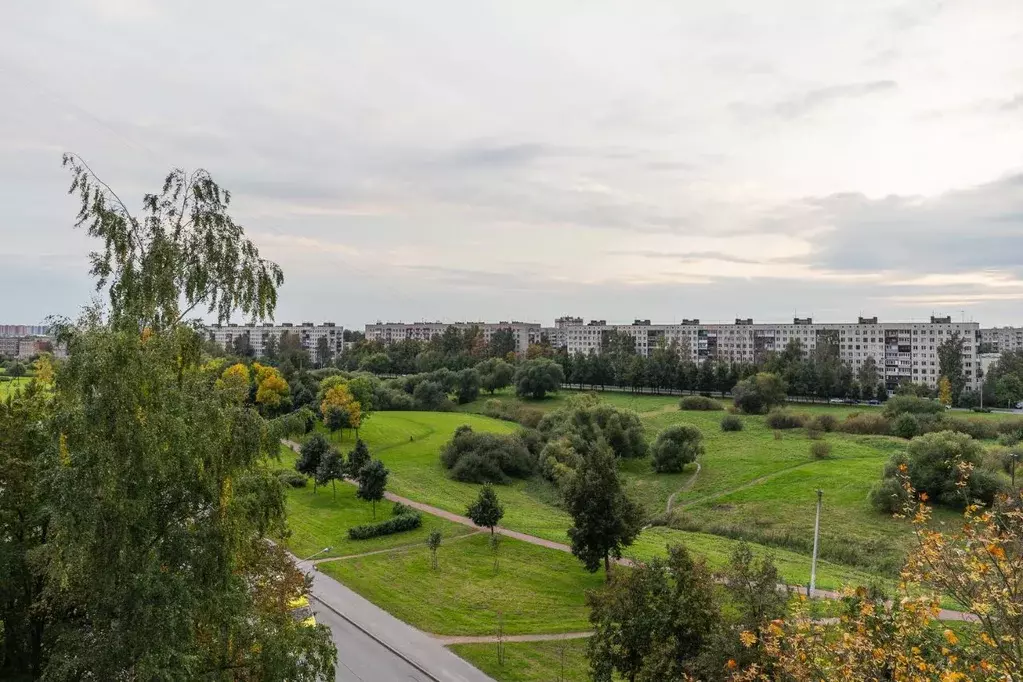 1-к кв. Санкт-Петербург ул. Добровольцев, 38 (30.8 м) - Фото 1