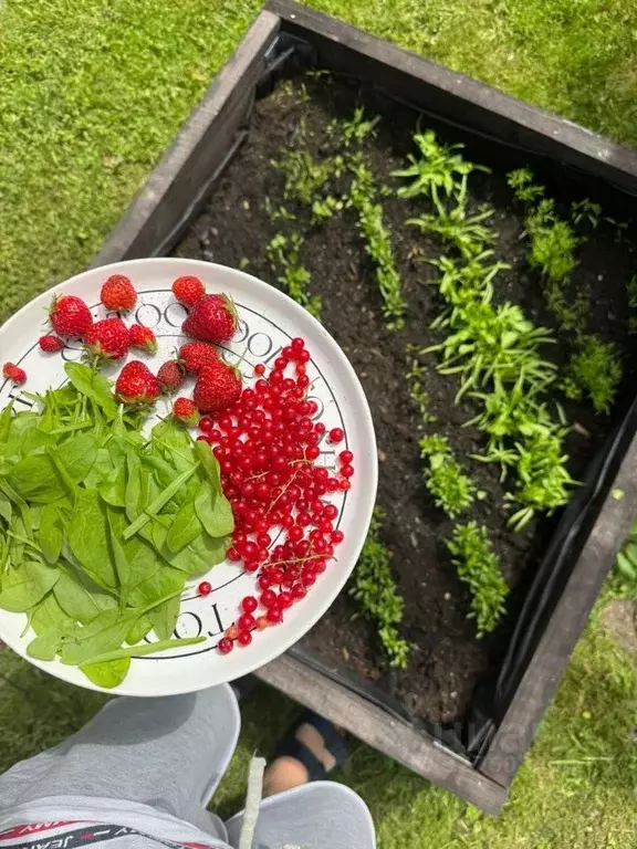 Дом в Московская область, Одинцовский городской округ, пос. Часцы ш. ... - Фото 2