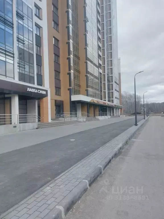 Помещение свободного назначения в Челябинская область, Челябинск ул. ... - Фото 1