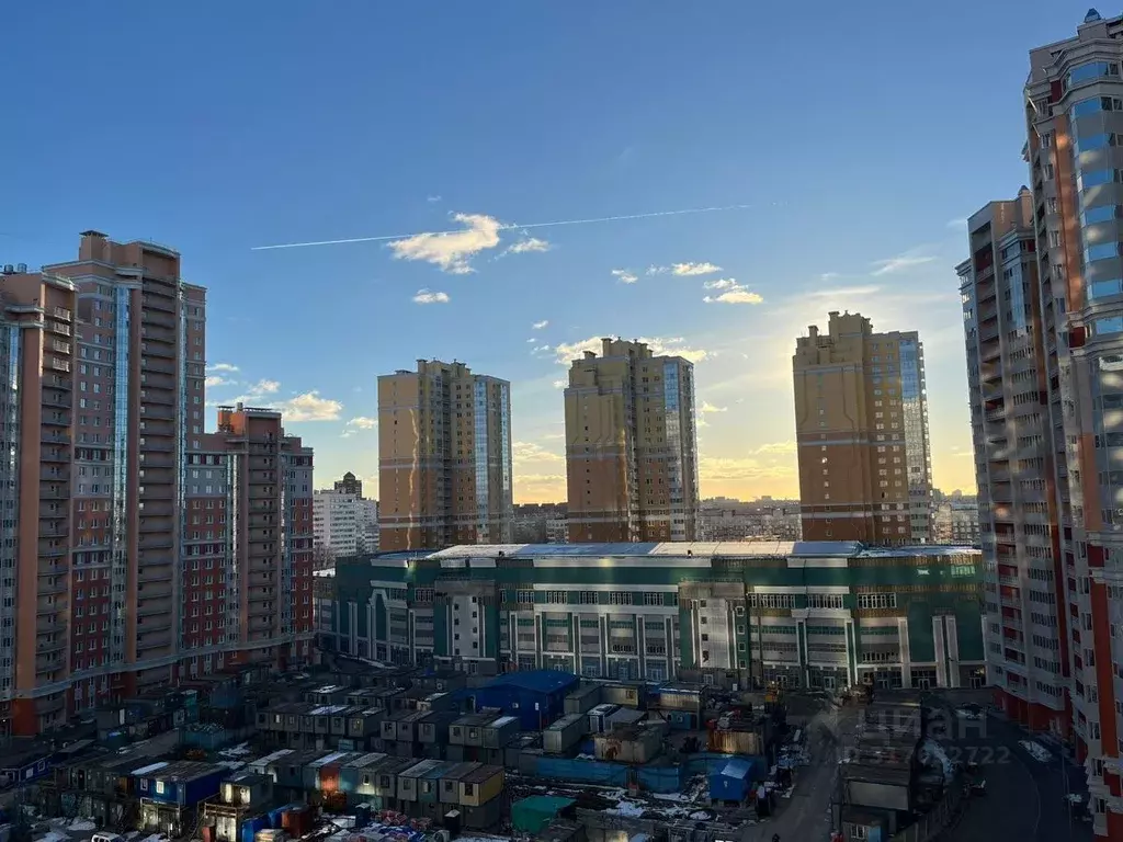 1-к кв. Санкт-Петербург ул. Кустодиева, 7к1 (39.0 м) - Фото 1