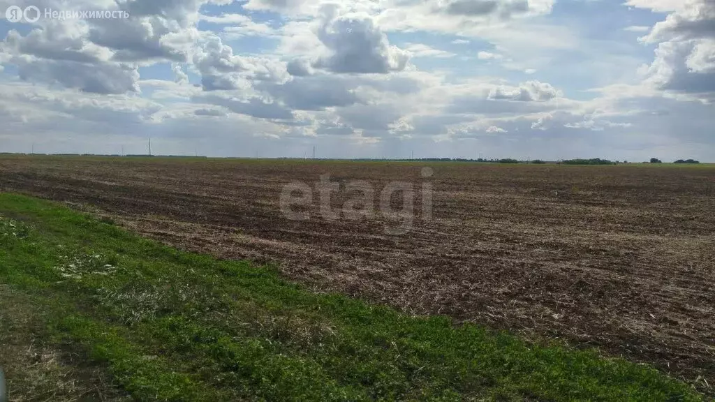Участок в Шербакульский район, село Борисовское (1390 м) - Фото 1