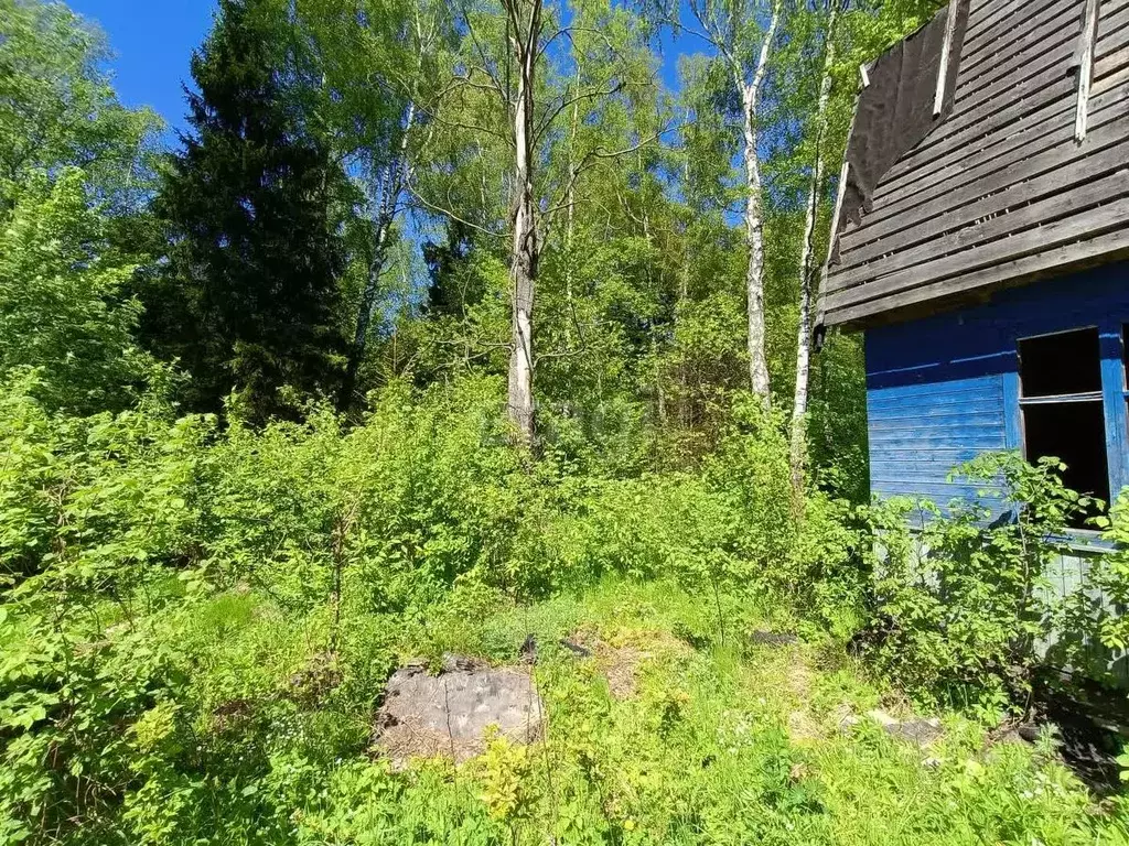 Дом в Московская область, Богородский городской округ, с. Богослово, ... - Фото 1