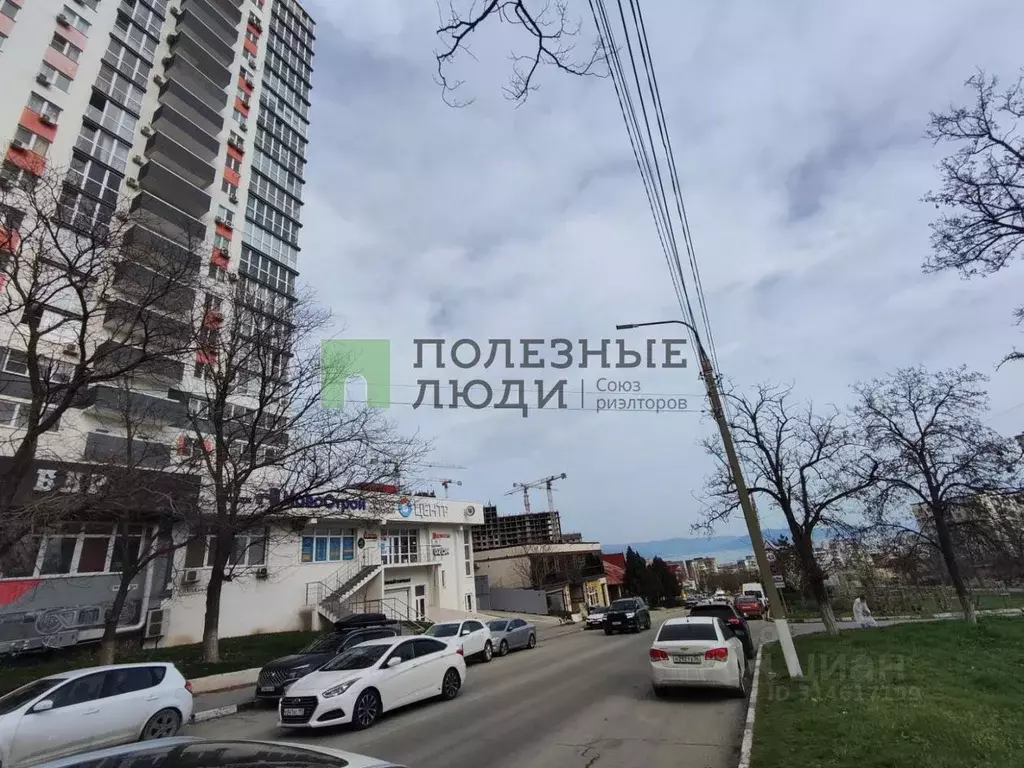 Помещение свободного назначения в Краснодарский край, Новороссийск ул. ... - Фото 0