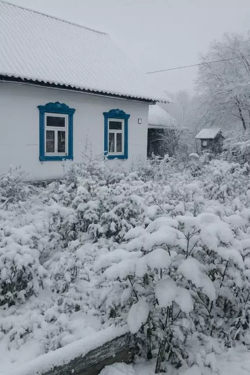 Дом в Кемеровская область, Осинниковский городской округ, пос. Тайжина ... - Фото 1