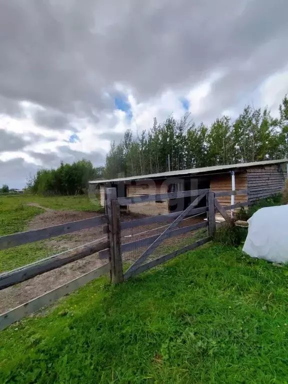 Участок в Ленинградская область, Кировский район, Путиловское с/пос, ... - Фото 1