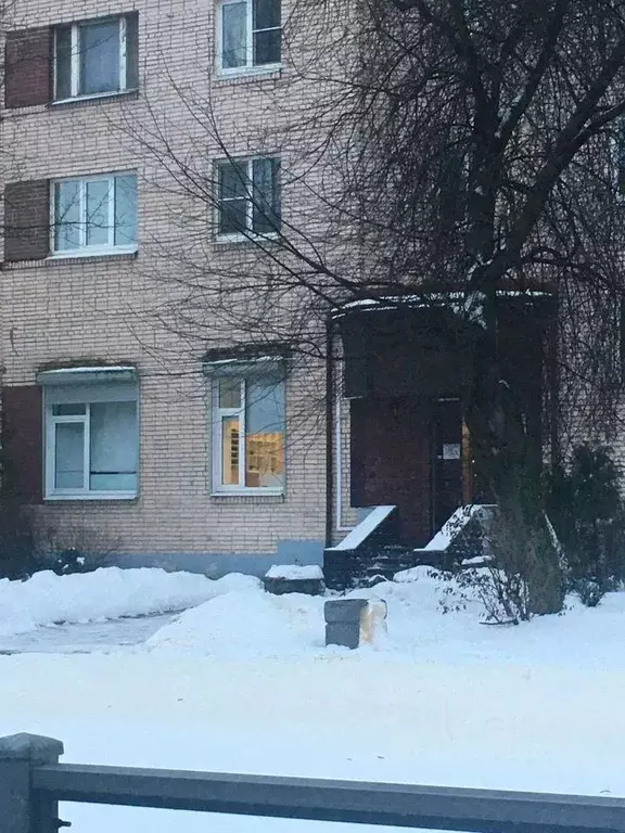 Помещение свободного назначения в Санкт-Петербург, Санкт-Петербург, ... - Фото 1