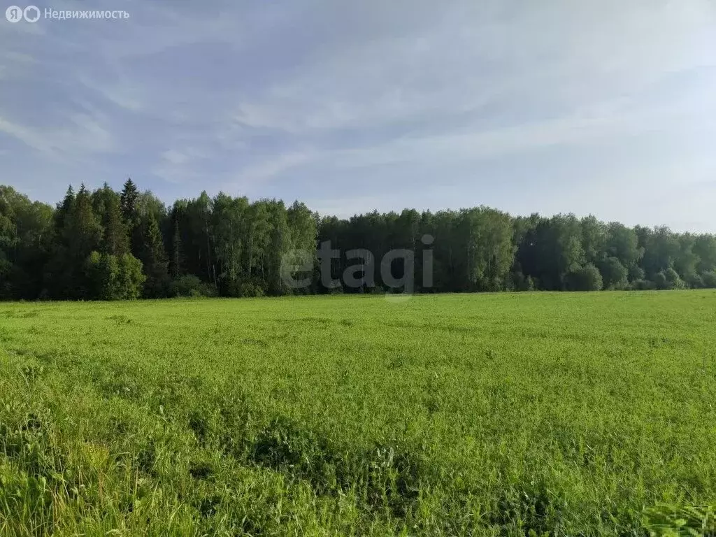 Участок в Медведевский район, Шойбулакское сельское поселение, деревня ... - Фото 2