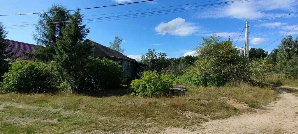 Участок в Владимирская область, Петушинский муниципальный округ, д. ... - Фото 1