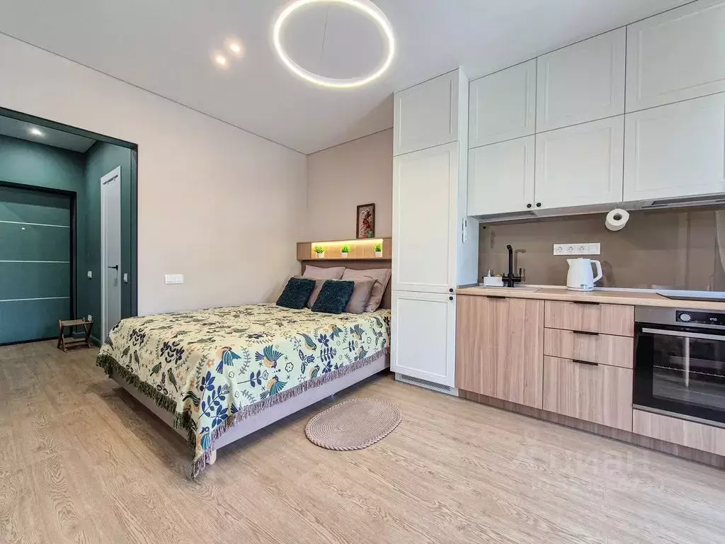 Студия Краснодарский край, Сочи ул. Искры, 88к1 (25.0 м) - Фото 2