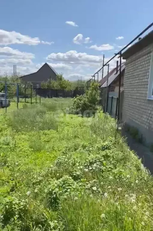 Участок в Оренбургская область, Оренбургский район, с. Ивановка Новая ... - Фото 0