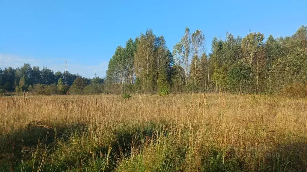 Участок в Ленинградская область, Гатчинский муниципальный округ, пос. ... - Фото 0