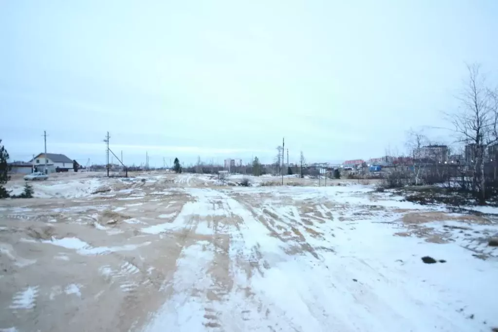 Участок в Ямало-Ненецкий АО, Новый Уренгой Дружба ДНТ, проезд 2-й ... - Фото 1