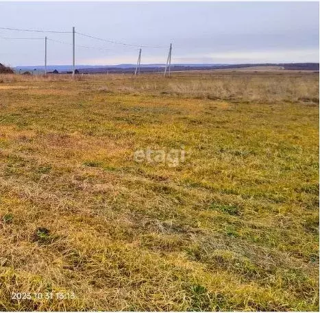 Участок в Амурская область, Благовещенский район, с. Владимировка  ... - Фото 0
