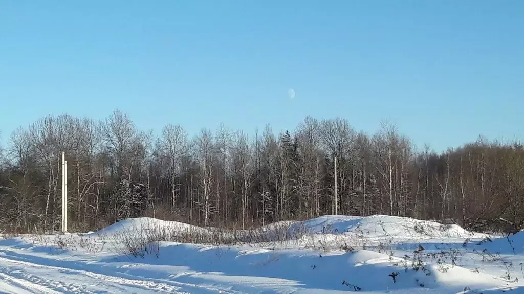 Участок в Владимирская область, Александровский район, Каринское ... - Фото 0