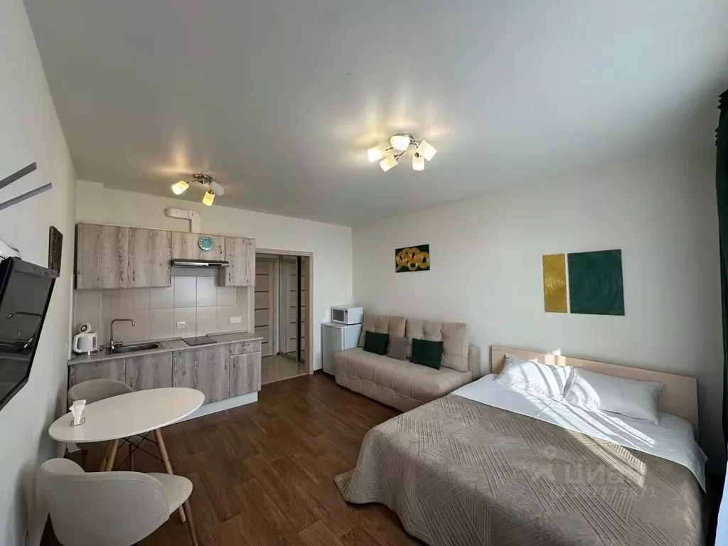 1-к кв. Новосибирская область, Новосибирск Сибирская ул., 42 (30.0 м) - Фото 1
