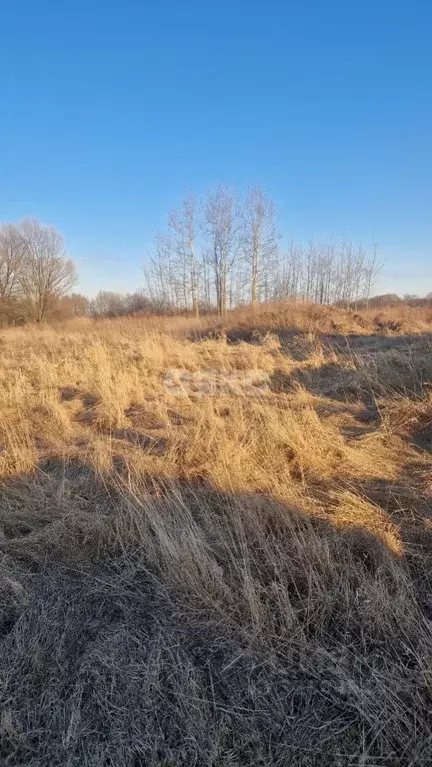Участок в Московская область, Воскресенск городской округ, с. Косяково ... - Фото 1