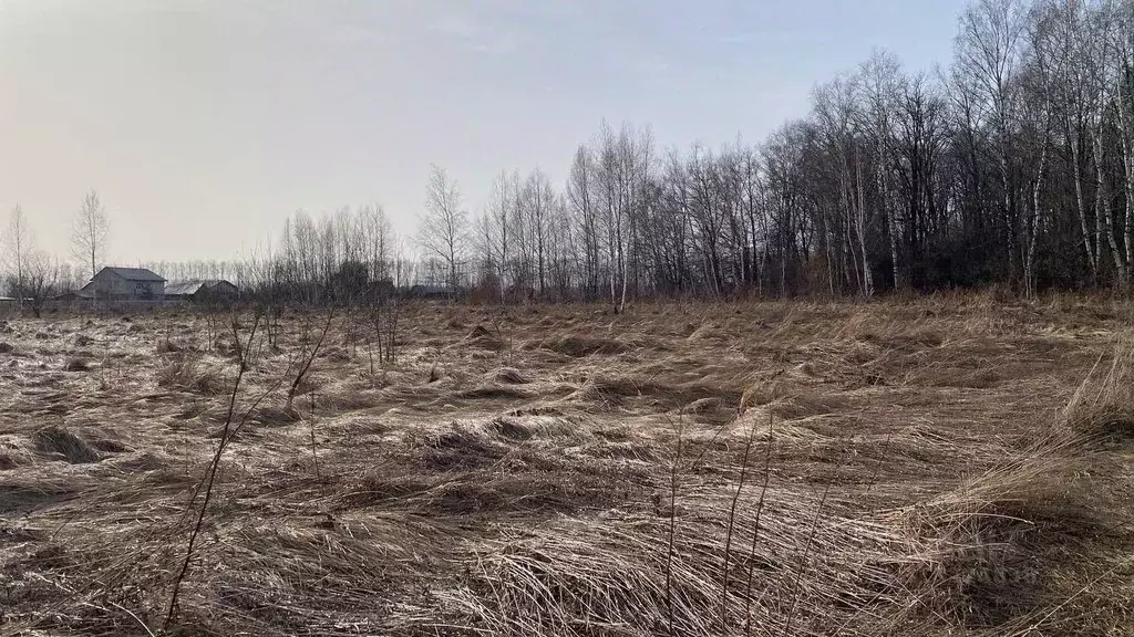Участок в Московская область, Кашира городской округ, д. Никулино  ... - Фото 0