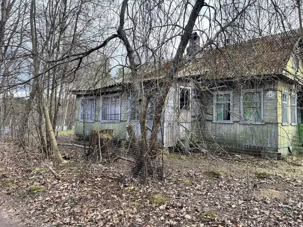 Участок в Ленинградская область, Всеволожский район, Куйвозовское ... - Фото 2