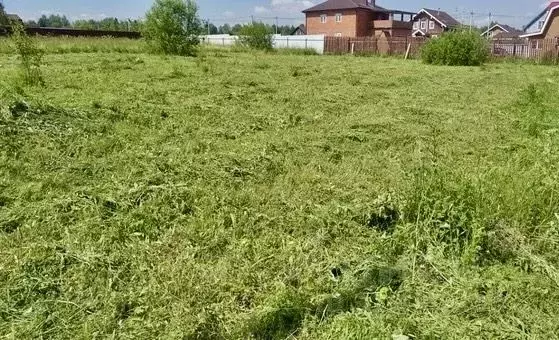 Участок в Новосибирская область, Новосибирский район, Морской ... - Фото 0