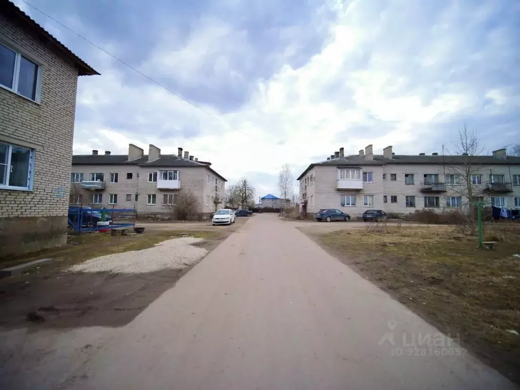 2-к кв. Псковская область, Островская волость, д. Городище ул. ... - Фото 1