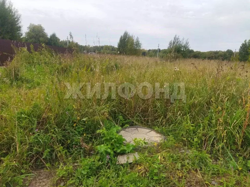 Участок в Новосибирская область, Новосибирский район, Станционный ... - Фото 1