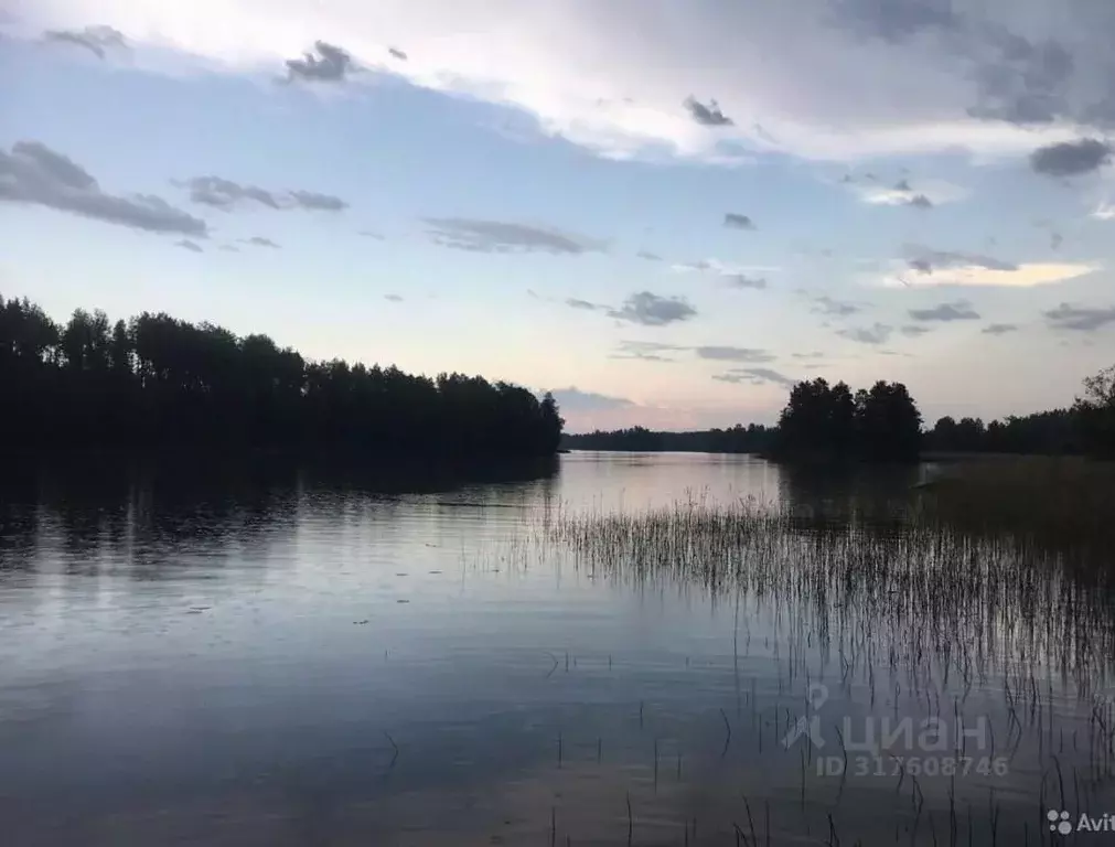 Коттедж в Ленинградская область, Приозерский район, Ромашкинское ... - Фото 0