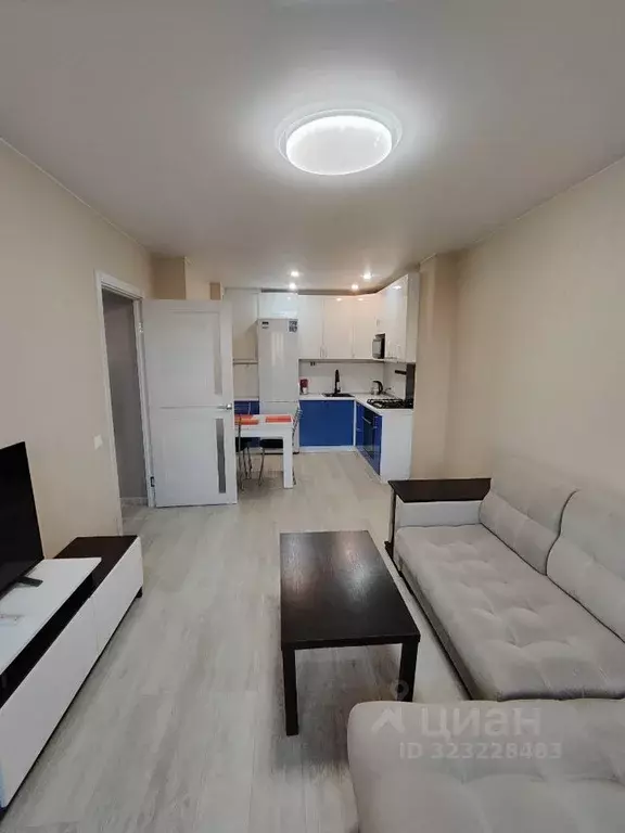 1-к кв. Псковская область, Псковский район, Завеличенская волость, д. ... - Фото 1