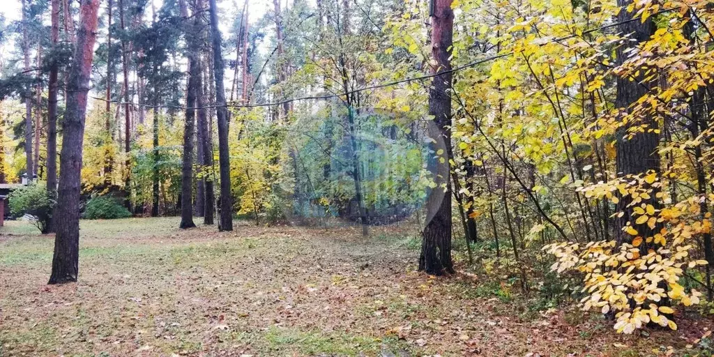 Участок в Московская область, Ленинский городской округ, д. Жабкино ... - Фото 0