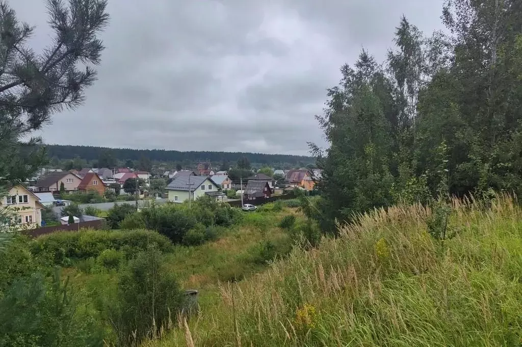 Участок в Московская область, Пушкинский городской округ, д. Лепешки  ... - Фото 0