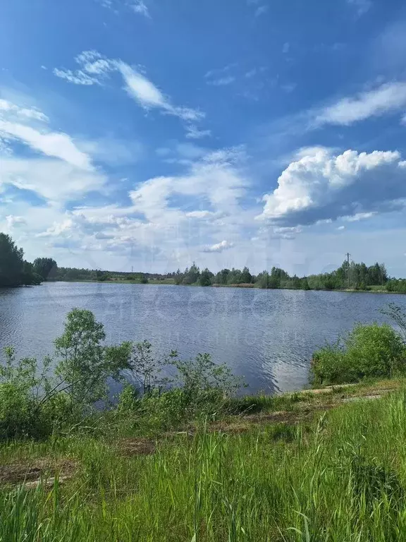 Участок 12 сот. (СНТ, ДНП) - Фото 0